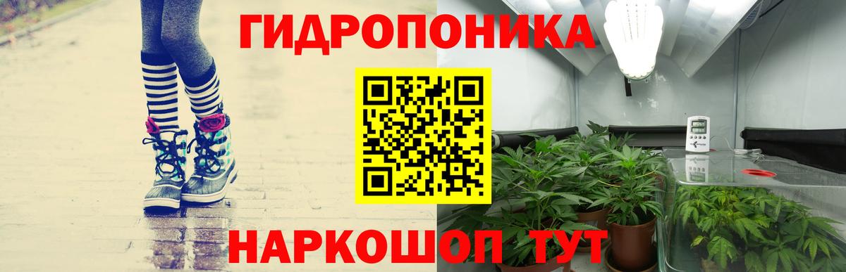 Бошки марихуана марихуана  Вход с VPN  Чернушка  Каннабис Amnesia  Бошки Шишки индика 